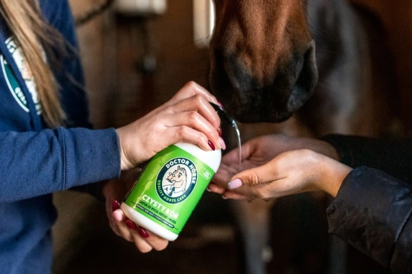 Clean Horse - šampón 6