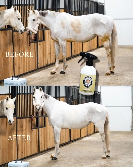 Suchy – Šampón bez oplachovania 3