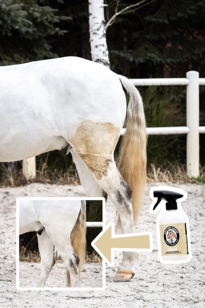 Suchy – Šampón bez oplachovania 1