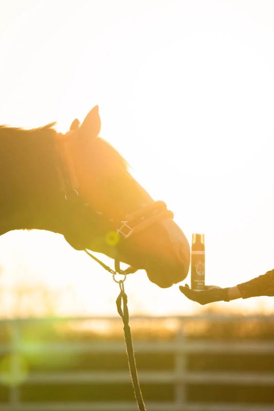 Pan&Pani - pena na intímnu hygienu pre kone 3