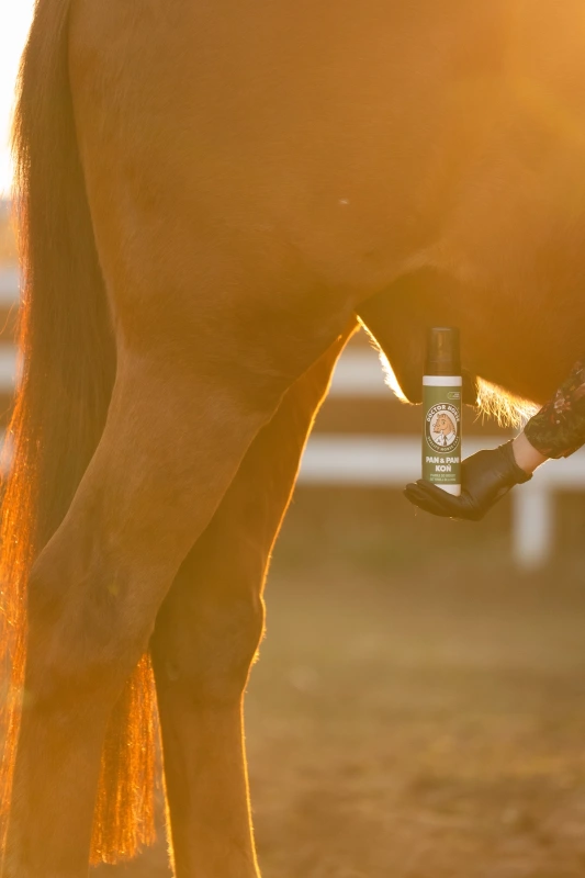 Pan&Pani - pena na intímnu hygienu pre kone 1